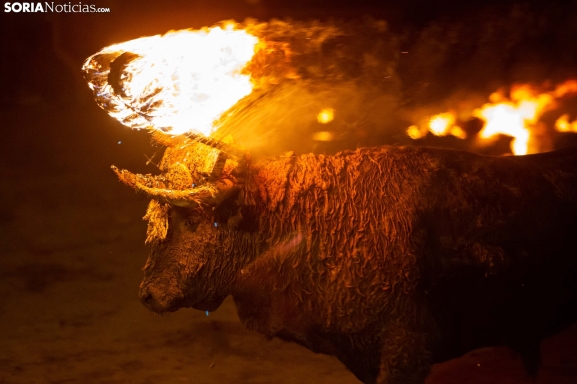 PACMA pide recusar al juez del Toro Júbilo por su defensa de la tauromaquia