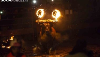 Medinaceli afianzará su Toro Jubilo con una escultura