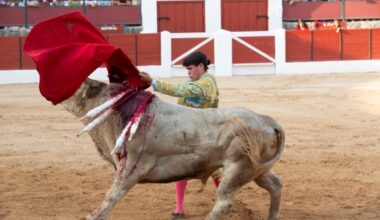 Jarocho: "El toreo nace y muere cada tarde, da igual que sea en Las Ventas o en Almazán"