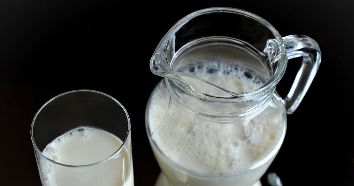 ¿Leche entera o descremada? La ciencia revela cuál es mejor