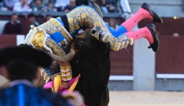 Víctor Hernández, cornada grave en el gemelo en Las Ventas