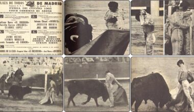 Historia de un cartel - Puebla