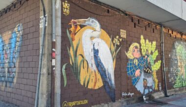 Cuando el arte tapa los muros en la calle más conflictiva de León