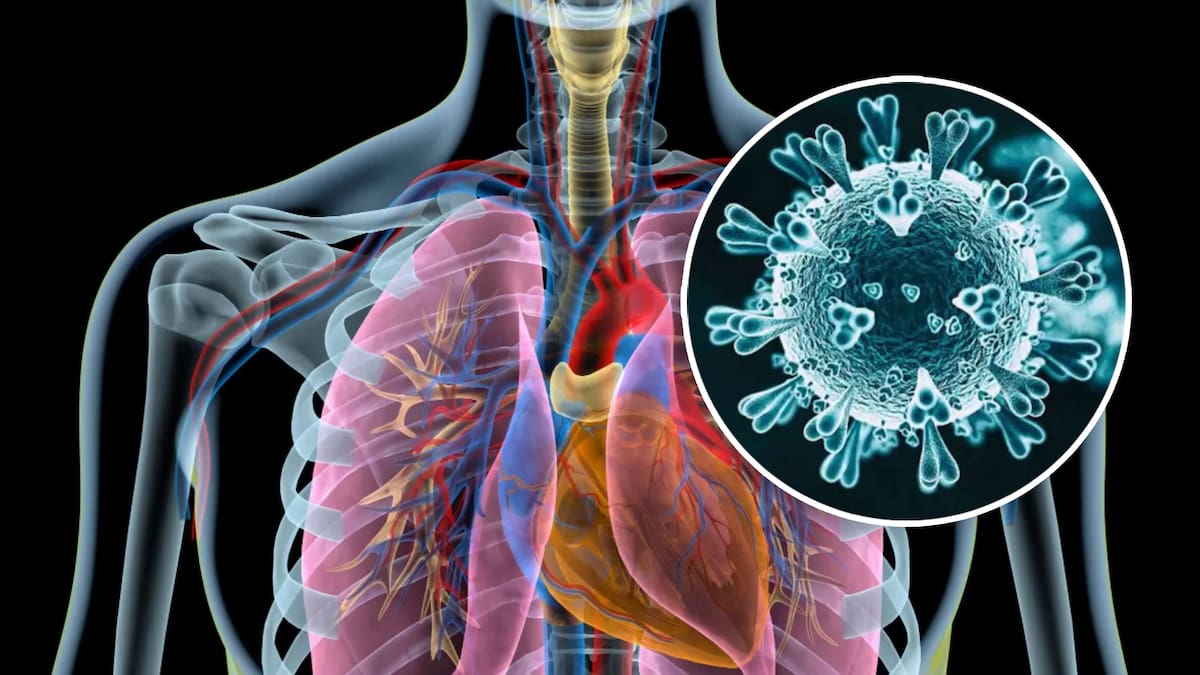 Virus respiratorio en China despierta recuerdos del inicio del Covid-19. Foto Ilustrativa.