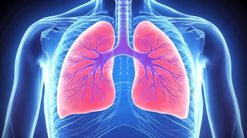 La recuperación de la función