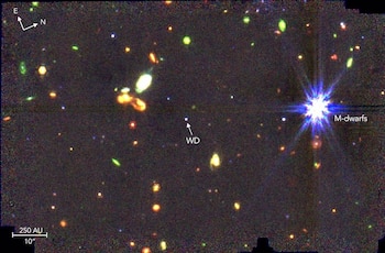 Los astrónomos combinaron más de