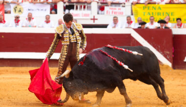 Daniel Luque, Aarón Palacio y El Freixo, principales premiados en el suroeste francés