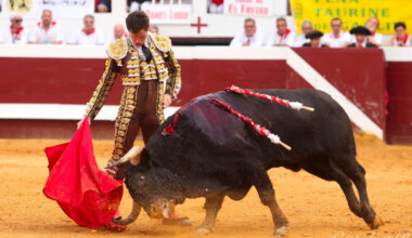 Foto: Roland Costedoat