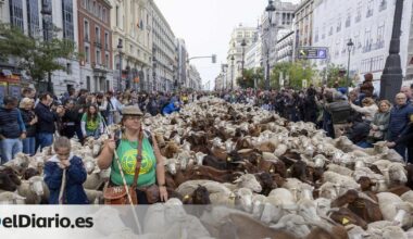 Rebaños de ovejas y cabras toman el centro de Madrid por la Fiesta de la Trashumancia 2025: recorrido y horarios