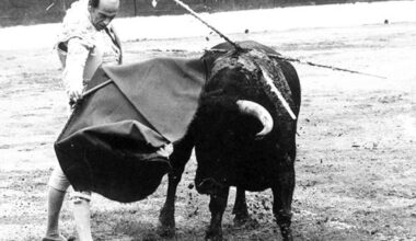 TOROS TORERO , ANTOÑETE Antoñete, en una de sus faenas