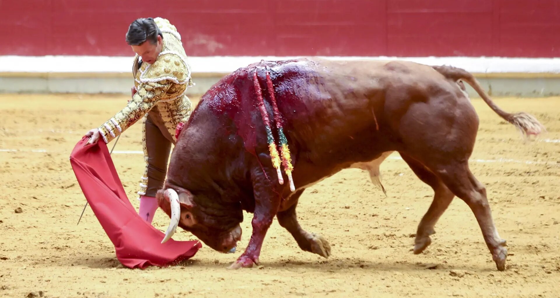 Aarón Palacio gana el 'Capote de paseo' de La Rioja por su faena en la feria de San Mateo de Logroño