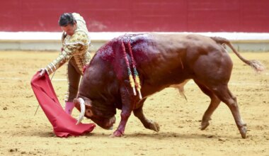 Aarón Palacio gana el 'Capote de paseo' de La Rioja por su faena en la feria de San Mateo de Logroño