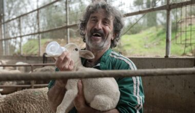 9 animales que nos robaron el corazón en la pantalla