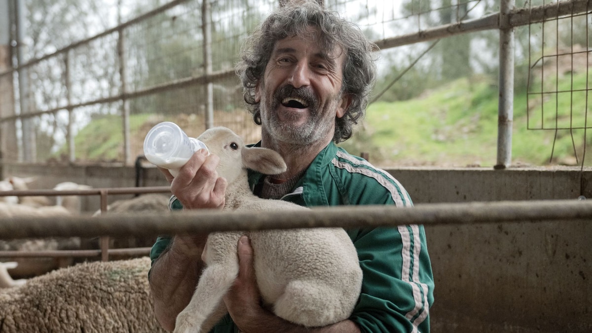 9 animales que nos robaron el corazón en la pantalla