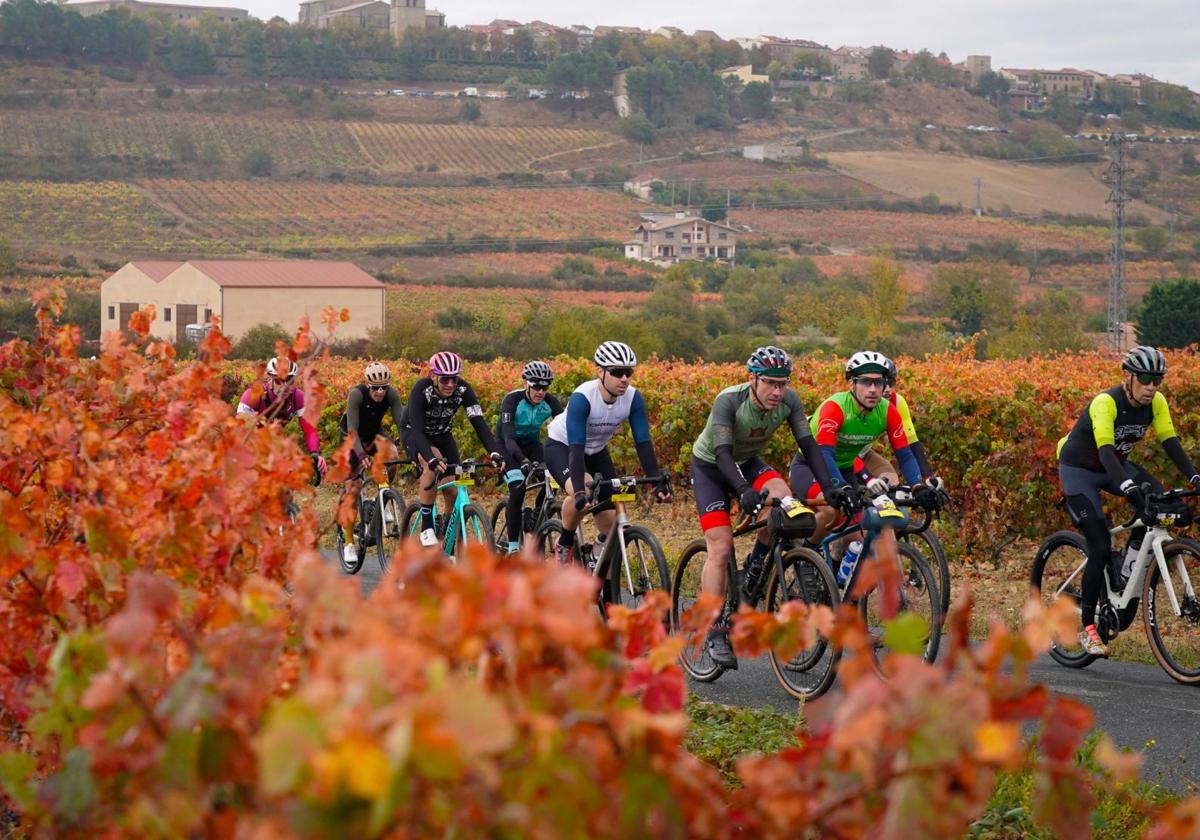 Las mejores imágenes de la Orbea Gravel