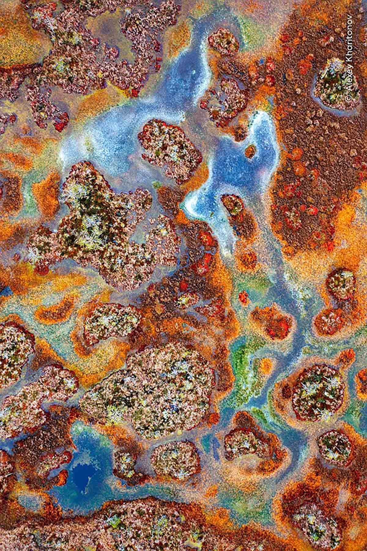 © Alexey Kharitonov