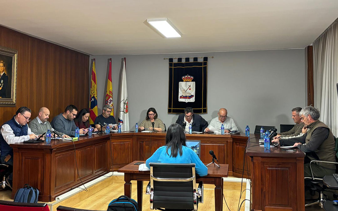 Instantes del pleno de octubre. / S.C