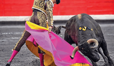 Roca rey: un encierro consigo mismo