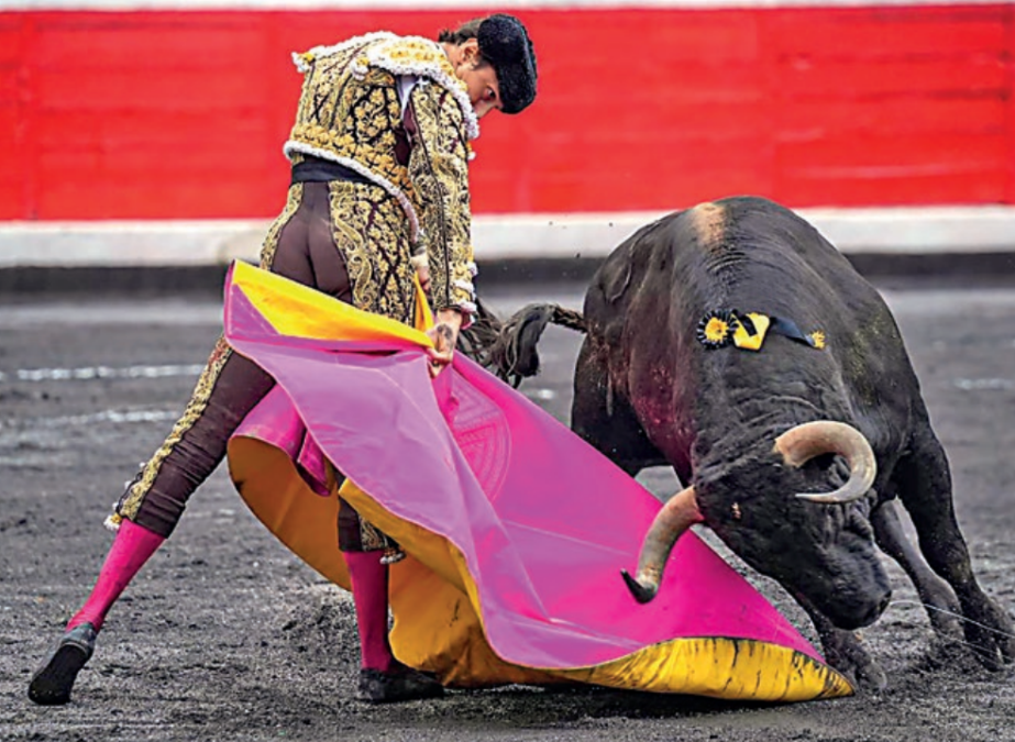 Roca rey: un encierro consigo mismo