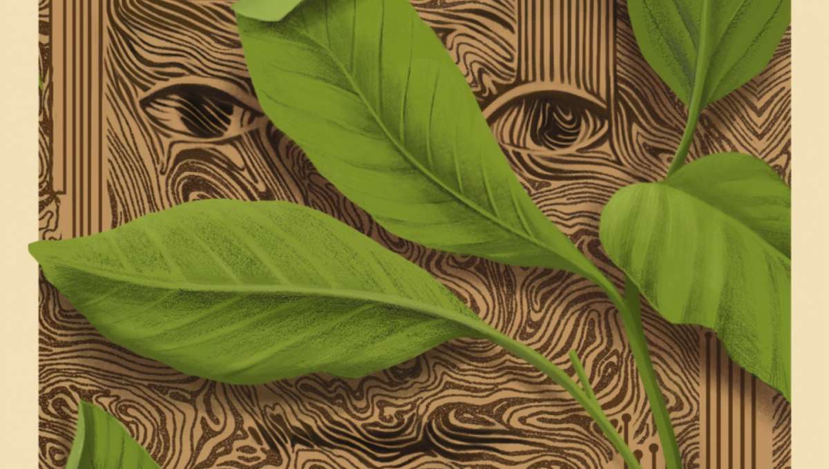 El libro que advierte de los riesgos de delegar nuestra vida a los algoritmos