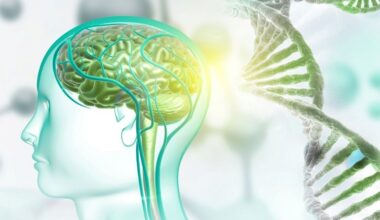 El CSIC diseña unas moléculas sintéticas que reparan en el laboratorio una alteración frecuente en el autismo