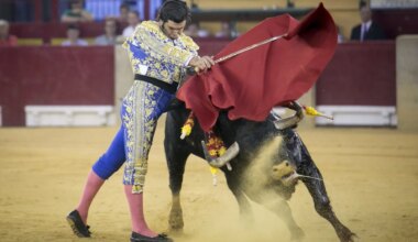 Morante se cae de la Feria del Pilar pero Cristiano Torres mantiene su alternativa