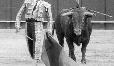 Antoñete: ¡lo que se está perdiendo Netflix!