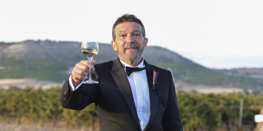 Las tensiones entre Antonio Banderas y Melanie Griffith por la boda de Stella del Carmen: «¡Esto es demasiado!»