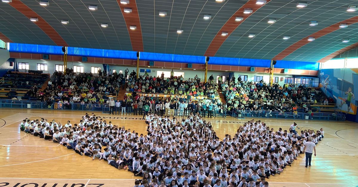 El BM Zamora fomenta la implicación de su cantera regalando carnés de socio a los miembros de la escuela deportiva