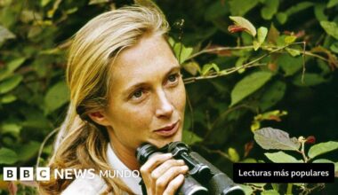 Muere Jane Goodall, la mujer que cambió nuestra comprensión de los chimpancés y de nosotros mismos