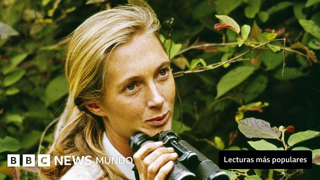 Muere Jane Goodall, la mujer que cambió nuestra comprensión de los chimpancés y de nosotros mismos