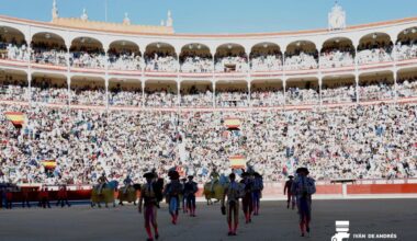 Jarocho, sin opción con el toro de su confirmación en Las Ventas