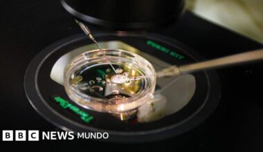 El revolucionario método que permitió crear un óvulo viable con células de la piel