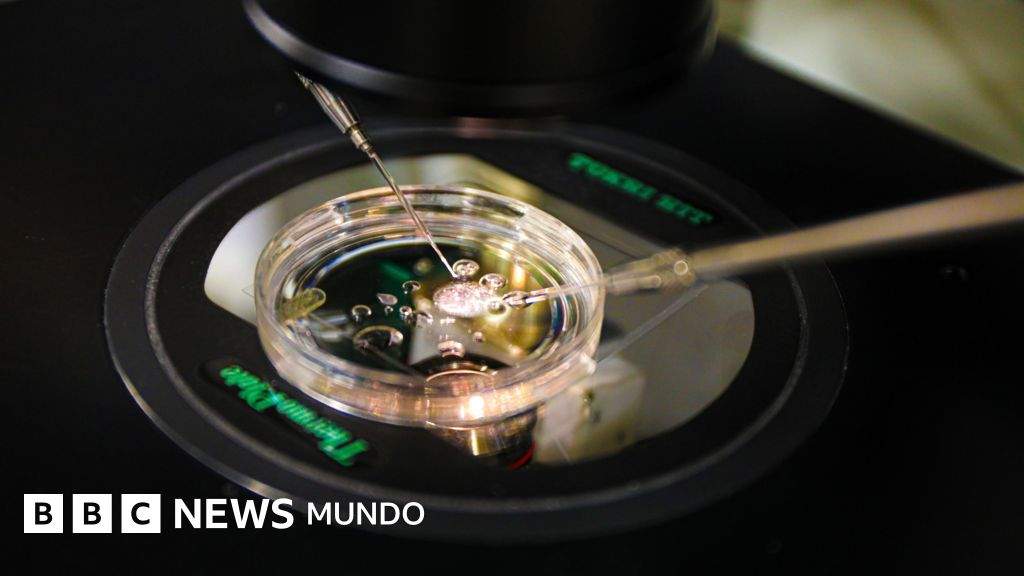 El revolucionario método que permitió crear un óvulo viable con células de la piel