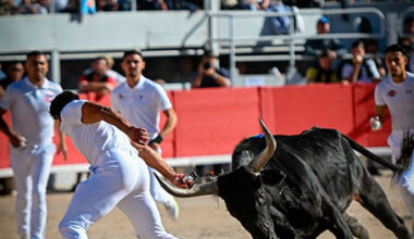 Arles cierra con la final de la Corrida Camarguesa – Avance Taurino