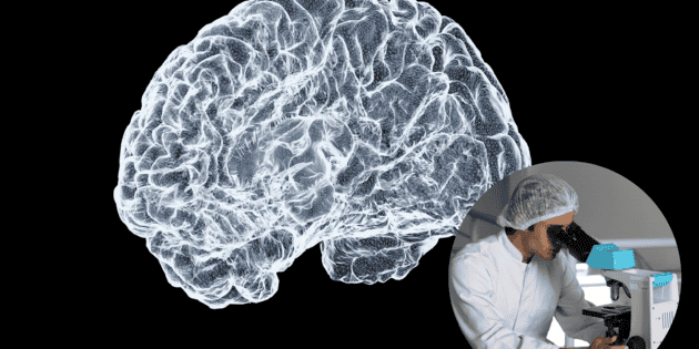 Párkinson: ¿Qué desencadena esta enfermedad en el cerebro? Científicos lo explican