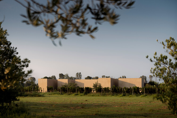 Casa San Francisco / Jorge Garibay Arquitectos - Imagen 6 de 24