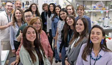 Investigadores españoles relacionan el hígado graso con el deterioro cognitivo