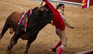Telemadrid vuelve a proponer la Corrida de la Hispanidad marcada por el adiós de Morante