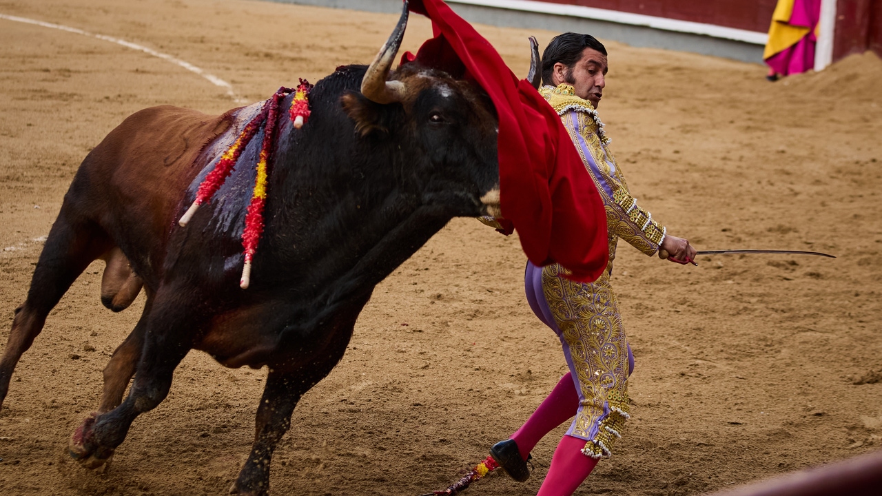 Telemadrid vuelve a proponer la Corrida de la Hispanidad marcada por el adiós de Morante