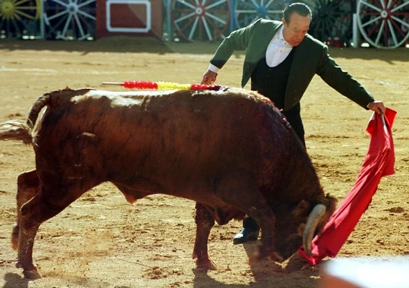 Imagen secundaria 1 - El 22 de octubre del año 2000 se celebró un festival en la plaza de toros de La Algaba, conocida como la de 'los carros', a beneficio de la asociación Andex, dedicada a los niños con cáncer