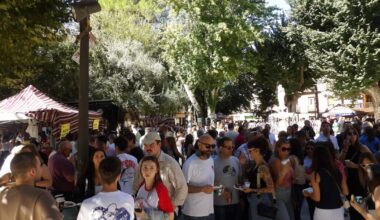 Los sabores de ‘Daimiel al Gusto’ ponen punto final a la XVII edición de la Fiesta de la Vendimia