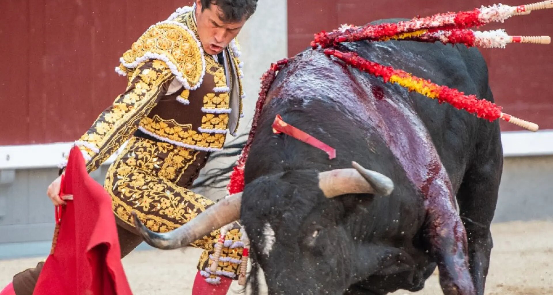 cartel completo de la Feria Taurina del Pilar 2025