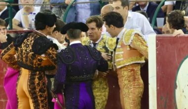 Este es el parte médico de Daniel Luque tras la cogida en Zaragoza: "Presenta las siguientes lesiones"