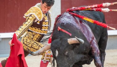 cartel completo de la Feria Taurina del Pilar 2025