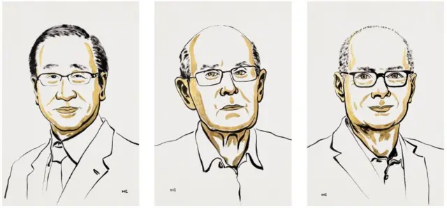 Ilustración de Susumu Kitagawa,  Richard Robson y Omar M. Yaghi