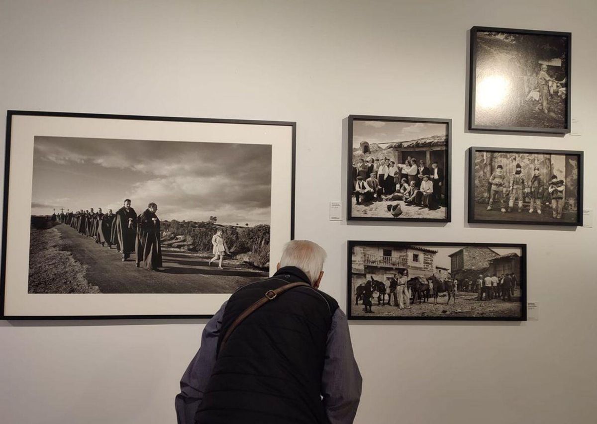 Algunas de la imágenes de la provincia de Zamora. | ALBA PRIETO