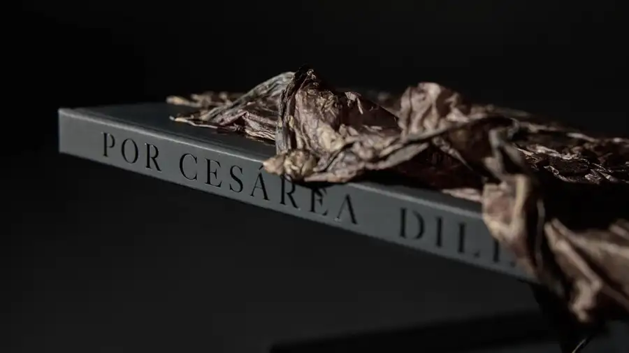 Dillom lleva su universo musical a un libro 14102025