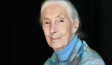 3 libros de Jane Goodall para conocer mejor su filosofía, su relación con los primates y su manera de entender el mundo