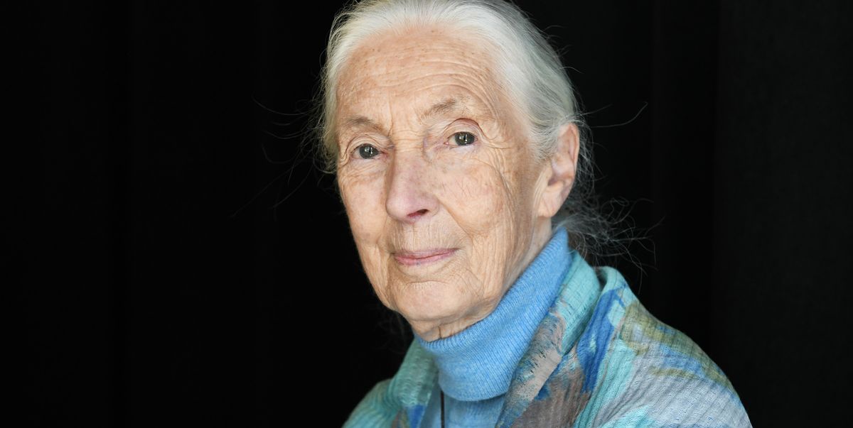 3 libros de Jane Goodall para conocer mejor su filosofía, su relación con los primates y su manera de entender el mundo